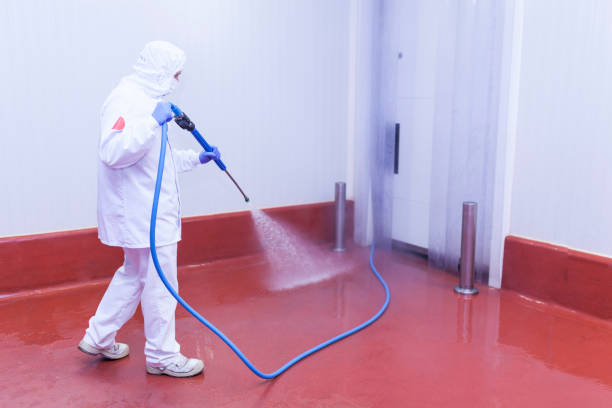 Animal Enclosure Cleaning in Glenolden, PA